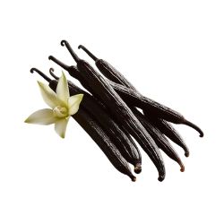 Vanilleschote